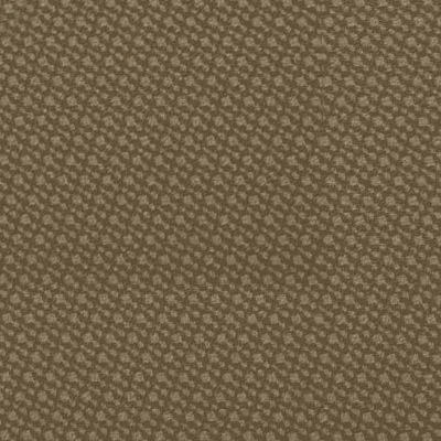 Ambla-Juno-Truffle