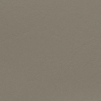 Spectra-Beige-2